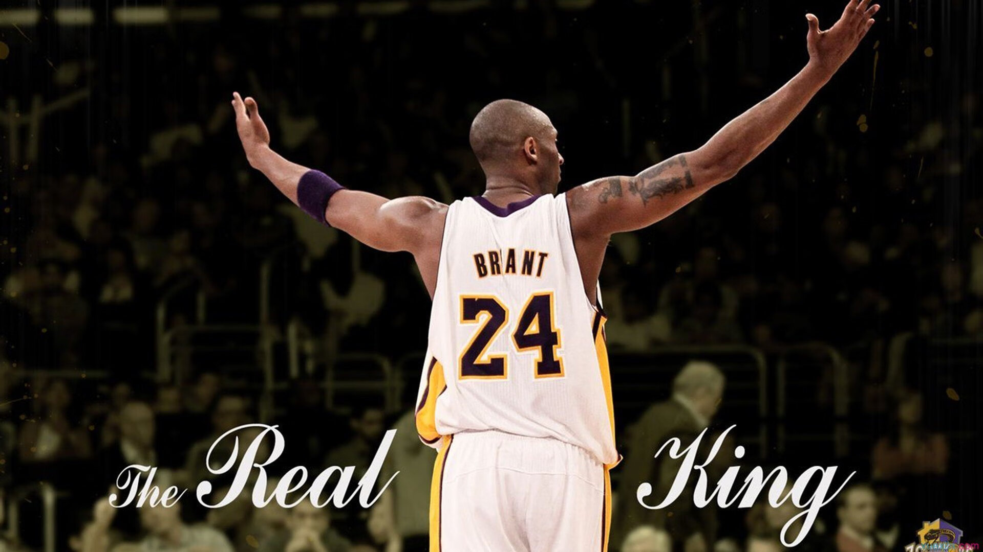 大坂直美与90激战公牛分钟，领先优势明显胜负难料！，哈兰德焦点对战赢得满堂喝彩